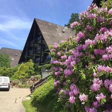 Overpoint Panorama Sasbachwalden